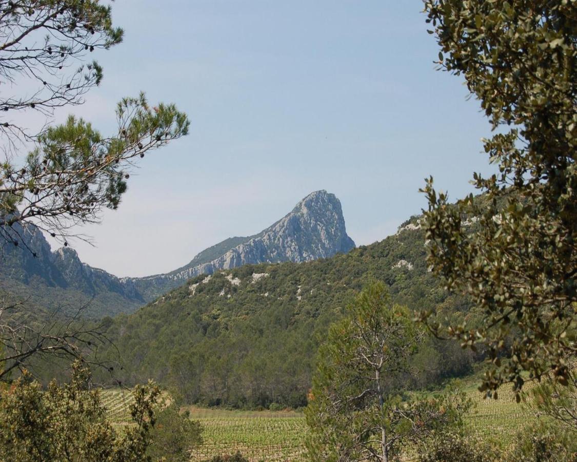 Domaine Du Bois Gite Marion Galargues Exteriör bild